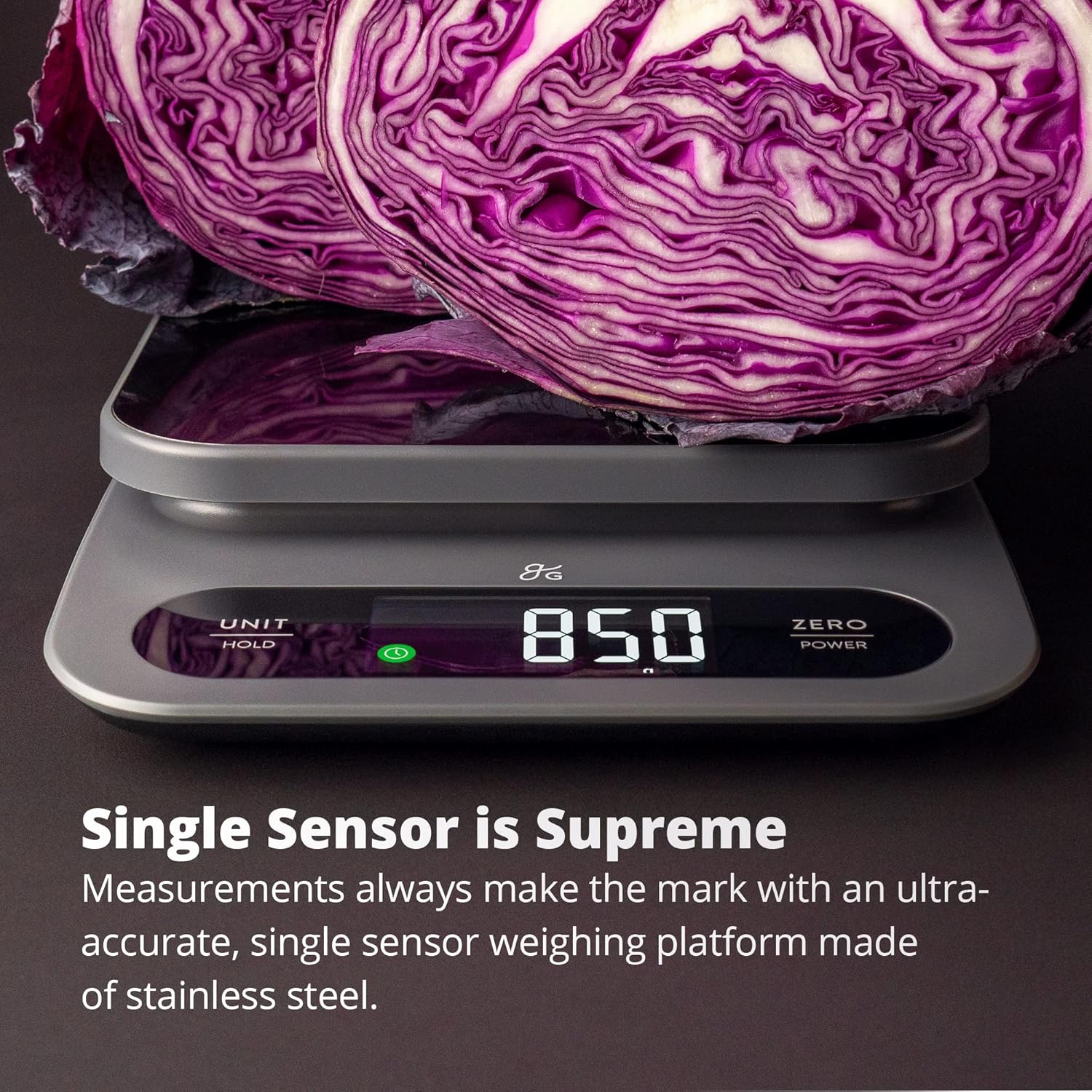 Food Scale for Bulk Cooking & Baking